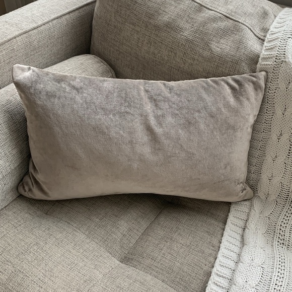 Williams Sonoma cream being champagne double sided two‎ tones accent pillow down - Picture 1 of 9